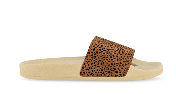 Dálmata Beige Claro